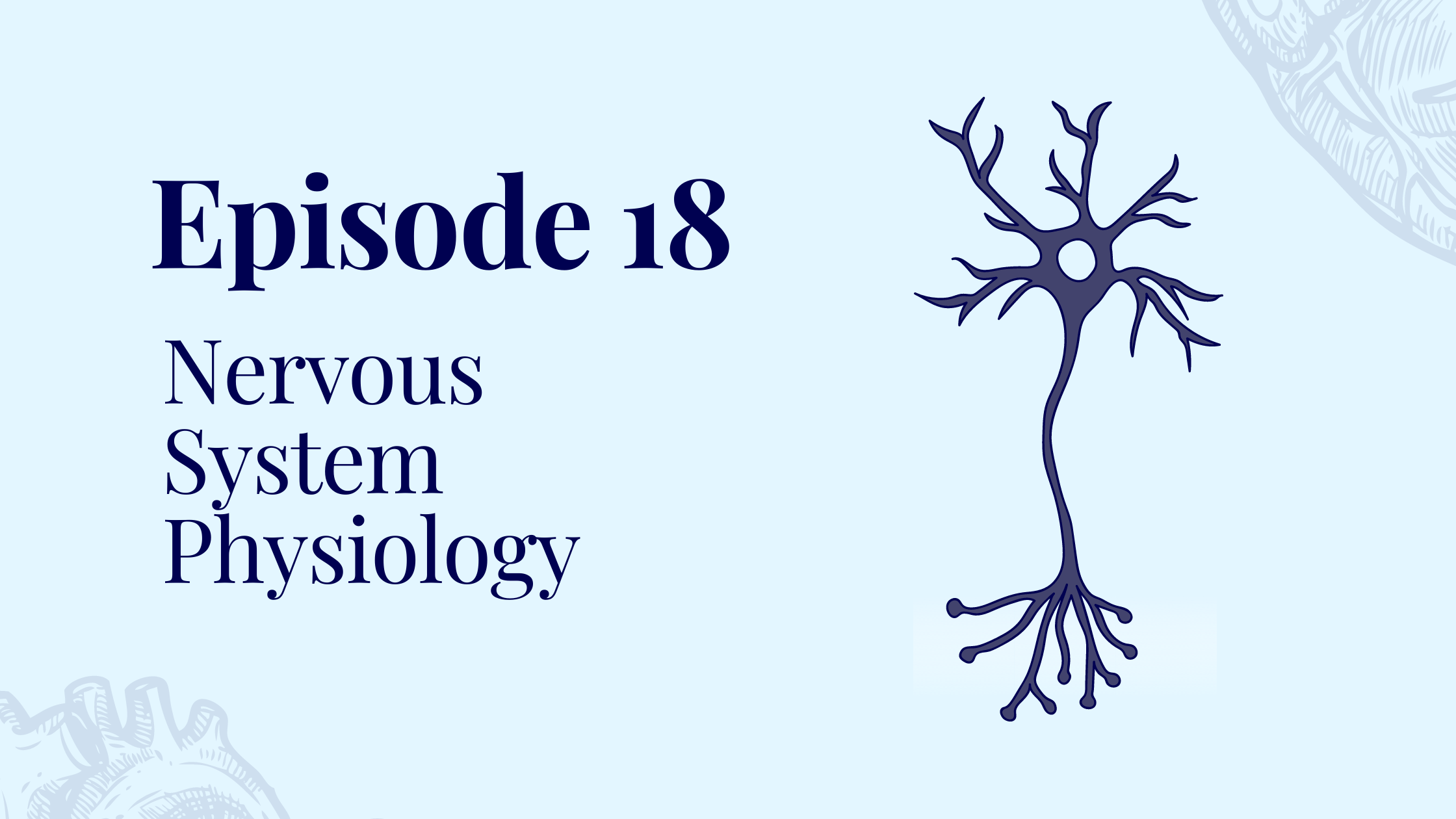 Episode 18 – Nervous System Physiology with Dr. Aruna Shivam