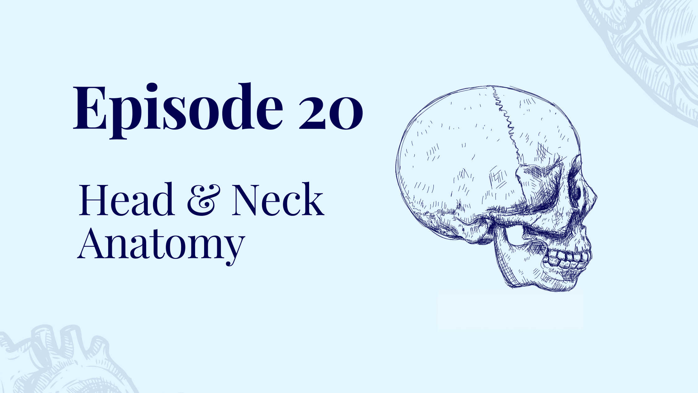 Episode 20 – Head and Neck Anatomy with Dr. Sophie Richards
