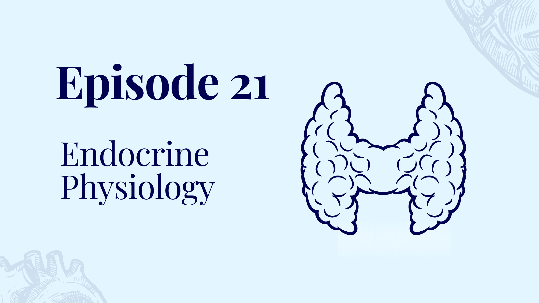 Episode 21 – Endocrine Physiology with Dr. Nick Lelos