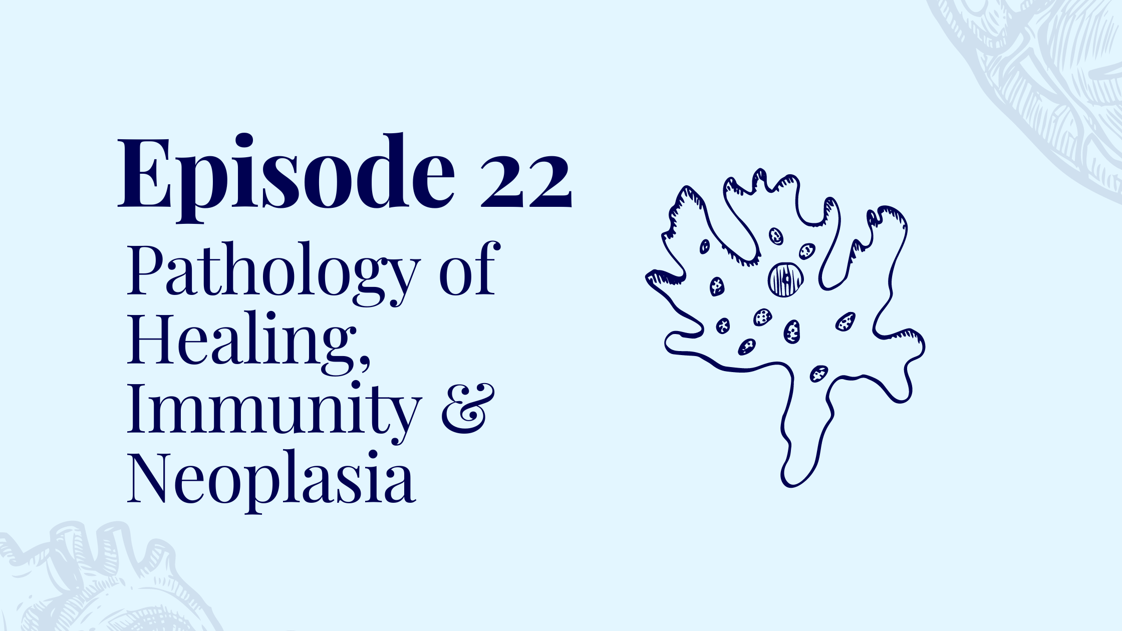 Episode 22 – Pathology of Healing, Immunity and Neoplasia with Dr. Weeda Beg